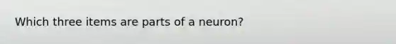 Which three items are parts of a neuron?