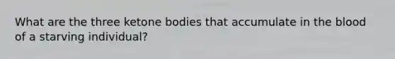 What are the three ketone bodies that accumulate in the blood of a starving individual?