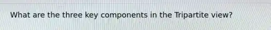 What are the three key components in the Tripartite view?