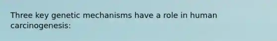 Three key genetic mechanisms have a role in human carcinogenesis: