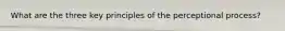 What are the three key principles of the perceptional process?
