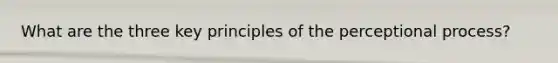 What are the three key principles of the perceptional process?