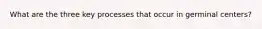 What are the three key processes that occur in germinal centers?