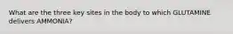 What are the three key sites in the body to which GLUTAMINE delivers AMMONIA?