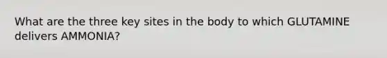 What are the three key sites in the body to which GLUTAMINE delivers AMMONIA?
