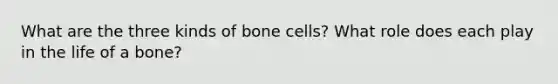 What are the three kinds of bone cells? What role does each play in the life of a bone?