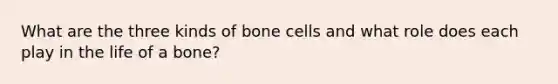 What are the three kinds of bone cells and what role does each play in the life of a bone?