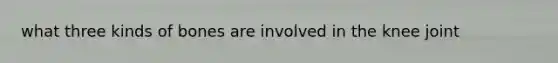 what three kinds of bones are involved in the knee joint