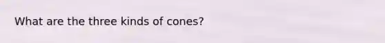 What are the three kinds of cones?