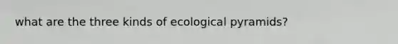 what are the three kinds of ecological pyramids?