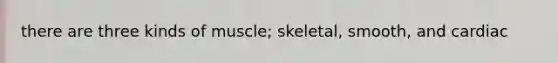 there are three kinds of muscle; skeletal, smooth, and cardiac