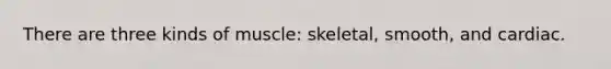 There are three kinds of muscle: skeletal, smooth, and cardiac.