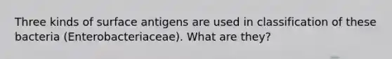 Three kinds of surface antigens are used in classification of these bacteria (Enterobacteriaceae). What are they?