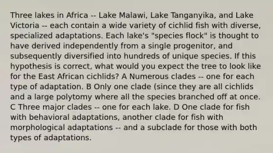 Three lakes in Africa -- Lake Malawi, Lake Tanganyika, and Lake Victoria -- each contain a wide variety of cichlid fish with diverse, specialized adaptations. Each lake's "species flock" is thought to have derived independently from a single progenitor, and subsequently diversified into hundreds of unique species. If this hypothesis is correct, what would you expect the tree to look like for the East African cichlids? A Numerous clades -- one for each type of adaptation. B Only one clade (since they are all cichlids and a large polytomy where all the species branched off at once. C Three major clades -- one for each lake. D One clade for fish with behavioral adaptations, another clade for fish with morphological adaptations -- and a subclade for those with both types of adaptations.