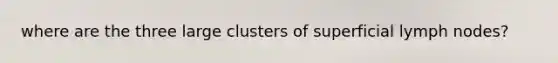 where are the three large clusters of superficial lymph nodes?