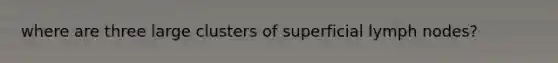 where are three large clusters of superficial lymph nodes?