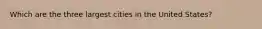 Which are the three largest cities in the United States?