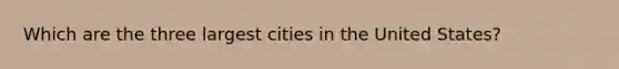 Which are the three largest cities in the United States?