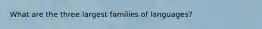 What are the three largest families of languages?