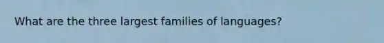 What are the three largest families of languages?