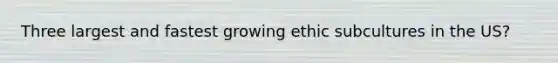 Three largest and fastest growing ethic subcultures in the US?