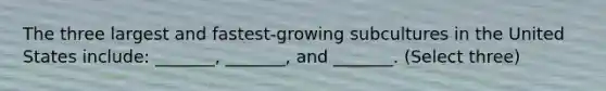 The three largest and fastest-growing subcultures in the United States include: _______, _______, and _______. (Select three)