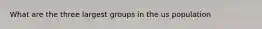 What are the three largest groups in the us population