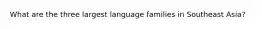 What are the three largest language families in Southeast Asia?