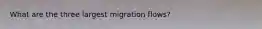 What are the three largest migration flows?