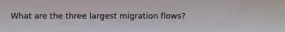 What are the three largest migration flows?