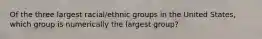 Of the three largest racial/ethnic groups in the United States, which group is numerically the largest group?