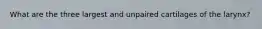 What are the three largest and unpaired cartilages of the larynx?