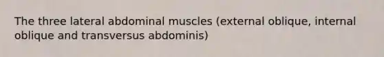 The three lateral abdominal muscles (external oblique, internal oblique and transversus abdominis)