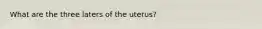 What are the three laters of the uterus?