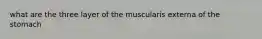 what are the three layer of the muscularis externa of the stomach