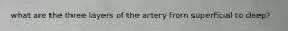 what are the three layers of the artery from superficial to deep?