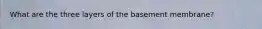 What are the three layers of the basement membrane?