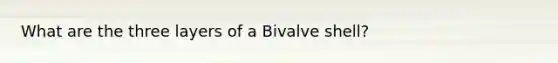 What are the three layers of a Bivalve shell?