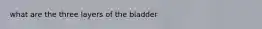 what are the three layers of the bladder