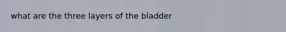 what are the three layers of the bladder