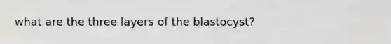 what are the three layers of the blastocyst?