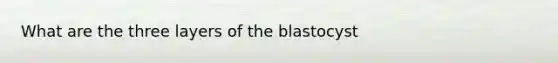 What are the three layers of the blastocyst