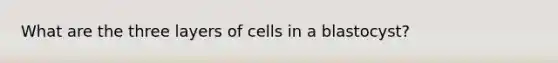 What are the three layers of cells in a blastocyst?