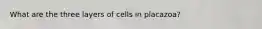 What are the three layers of cells in placazoa?