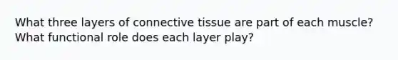 What three layers of connective tissue are part of each muscle? What functional role does each layer play?