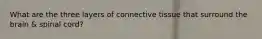 What are the three layers of connective tissue that surround the brain & spinal cord?