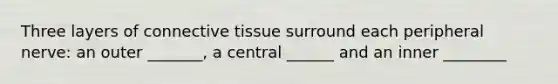 Three layers of connective tissue surround each peripheral nerve: an outer _______, a central ______ and an inner ________