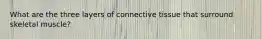 What are the three layers of connective tissue that surround skeletal muscle?