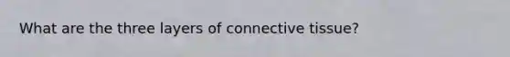 What are the three layers of connective tissue?