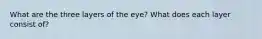 What are the three layers of the eye? What does each layer consist of?